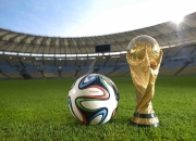 开云体育APP下载-从骑士到世界，爱德华兹的2026关键战进化论